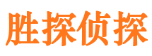 洪湖侦探公司